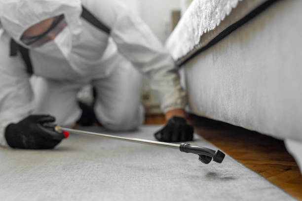 Professional Mosquito Control technician working in Pinecrest, FL