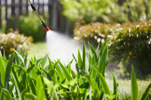 24/7 Emergency Mosquito Control experts in Pinecrest, FL