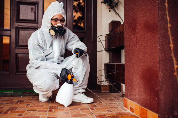Reliable Mosquito Control contractor in Pinecrest, FL by Nex Pest Control